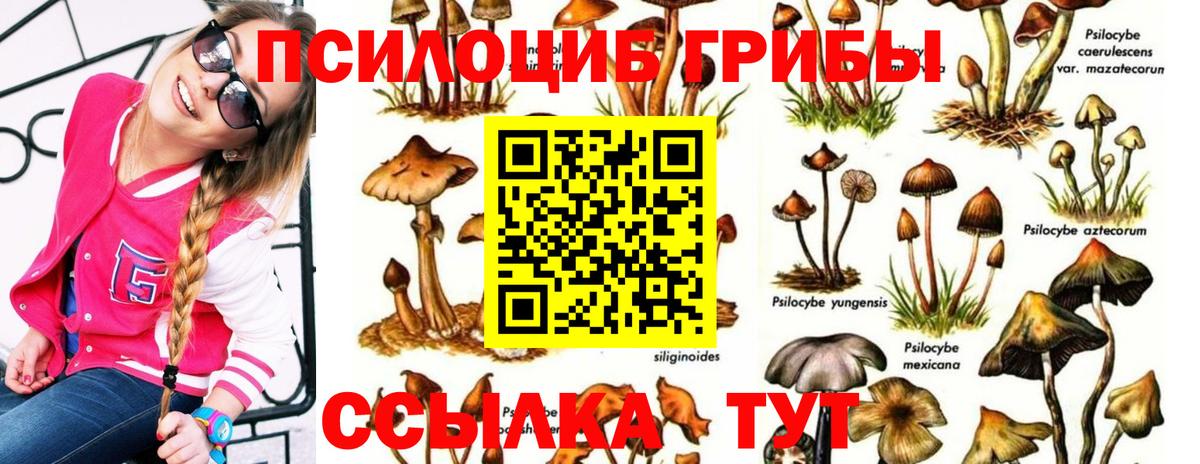 ГАШ Красный Сулин