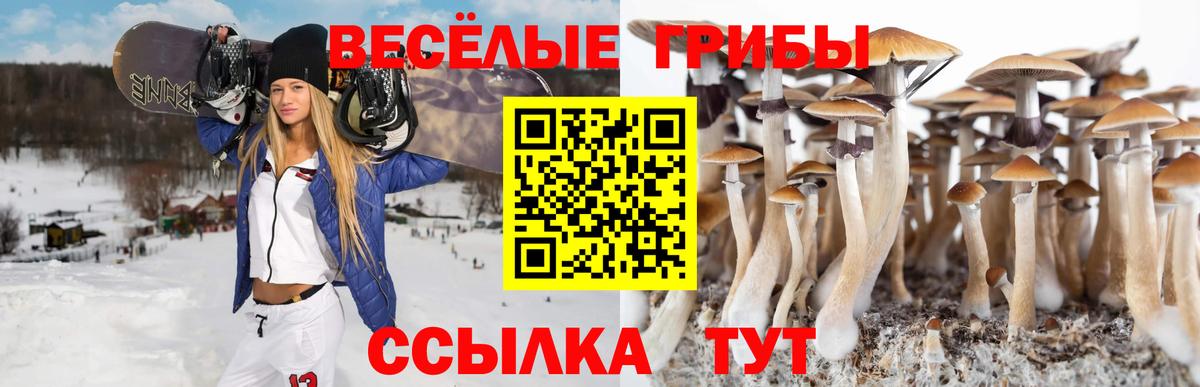 Красный Сулин  Псилоцибиновые грибы ЛСД  Псилоцибиновые грибы мицелий  Вход с VPN 